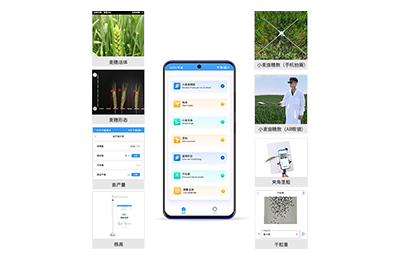 驻马店市小麦表型测量仪IN-XM05